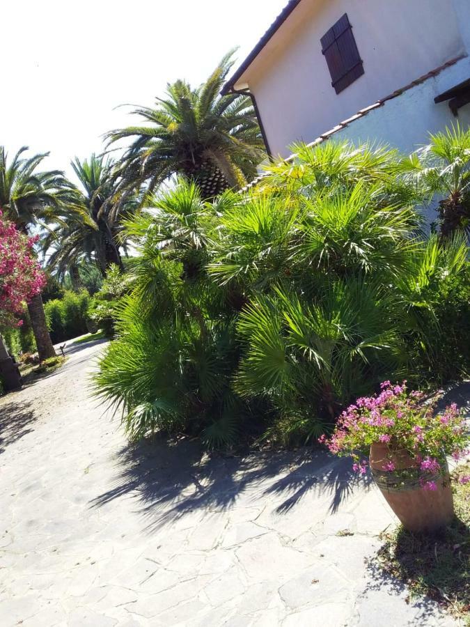 Appartamento Le Palme Capoliveri  Esterno foto