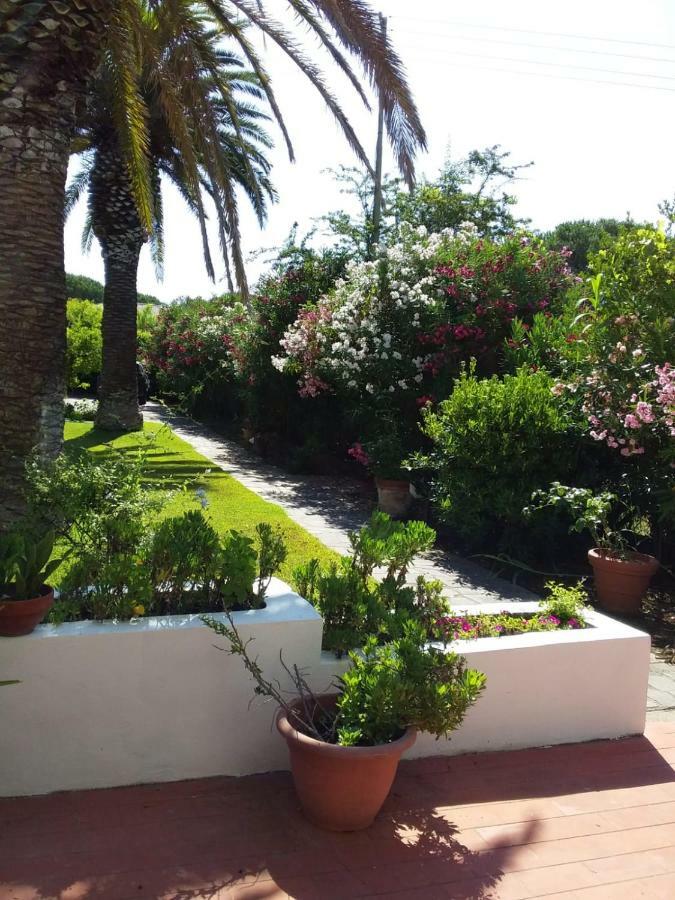 Appartamento Le Palme Capoliveri  Esterno foto